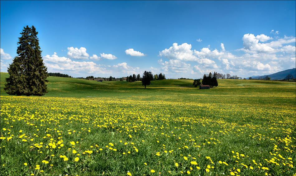 Landschaft zeigt Zähne