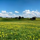 Landschaft zeigt Zähne