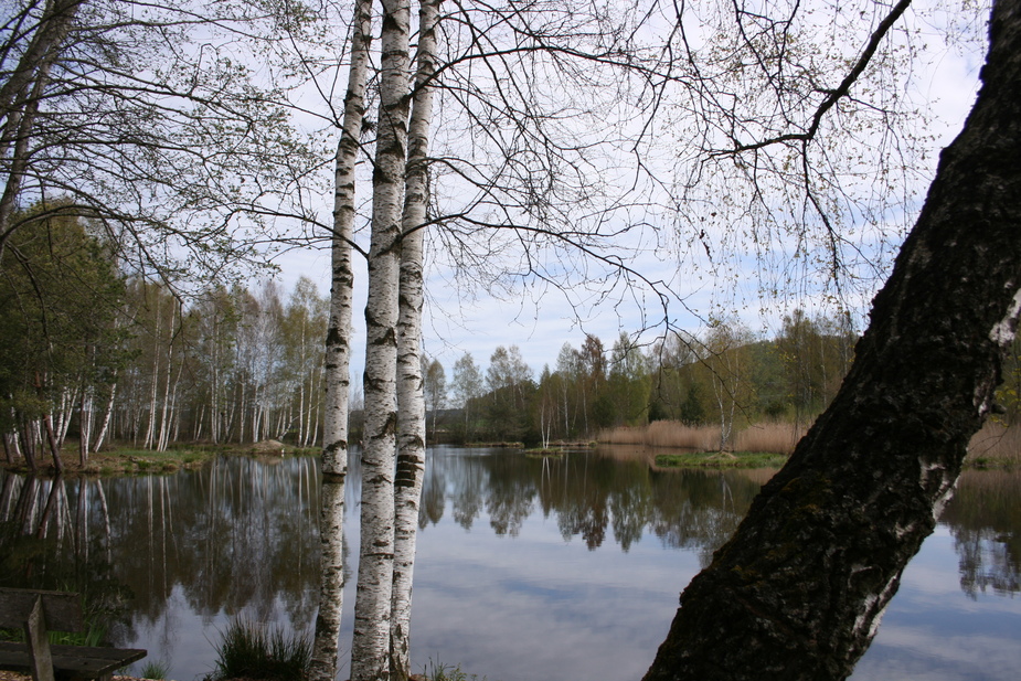 Landschaft zum Träumen