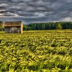 Landschaft zum Träumen HDR