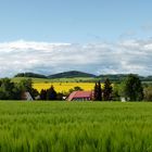 Landschaft zum Wohlfühlen