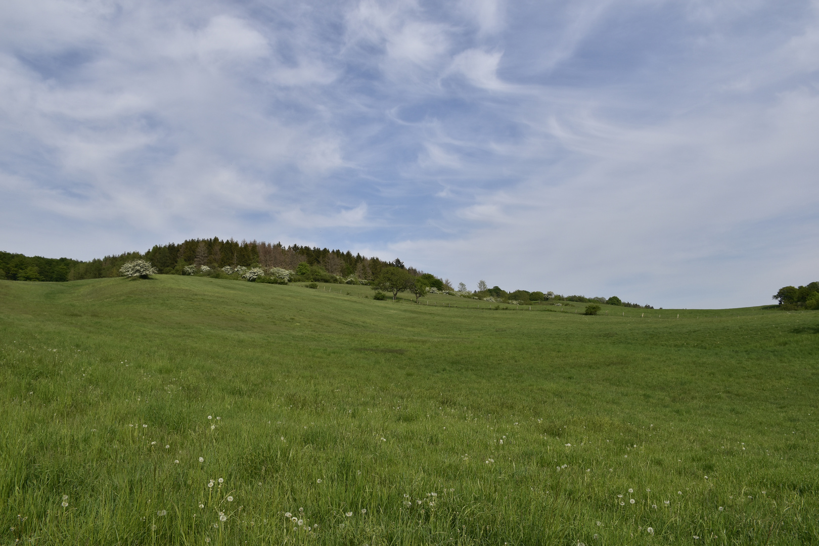 Landschaft zwischen Alfeld und Einbeck