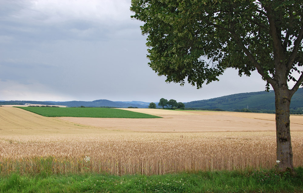 Landschaft zwischen Eisborn und Horst