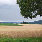 Landschaft zwischen Eisborn und Horst