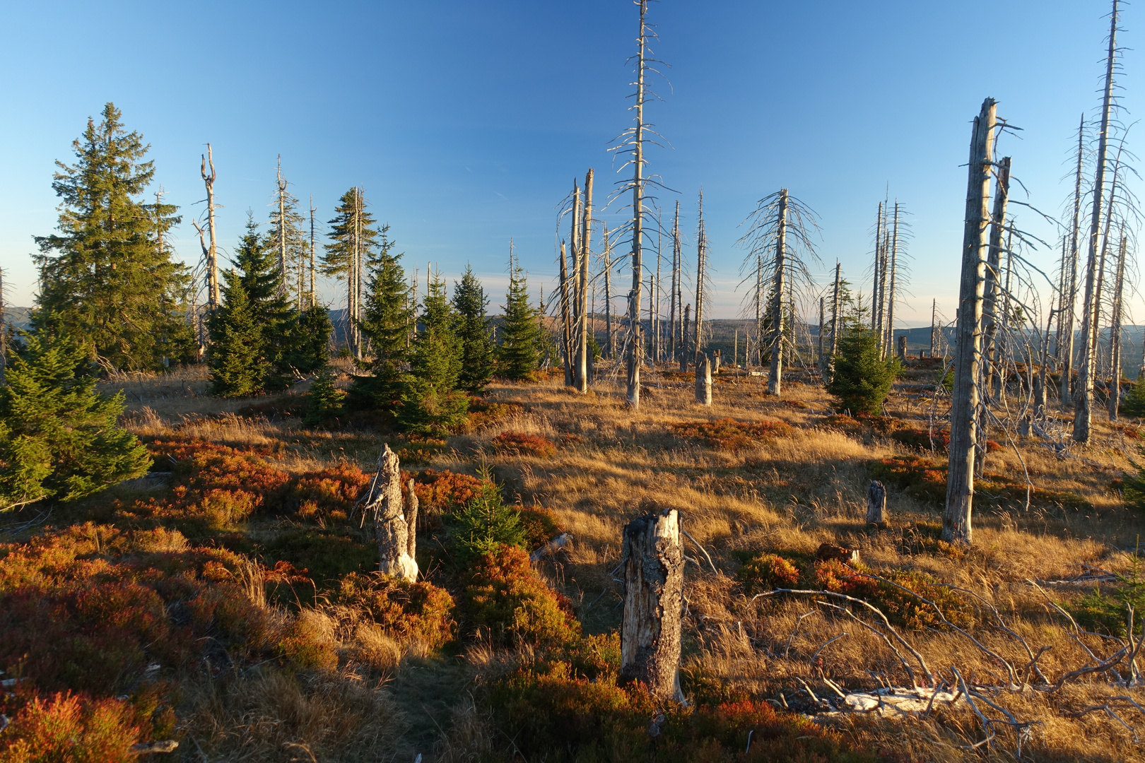  Landschaft zwischen "Großen Rachel" und  dem "Kleinen Rachel" auf dem Goldenen Steig