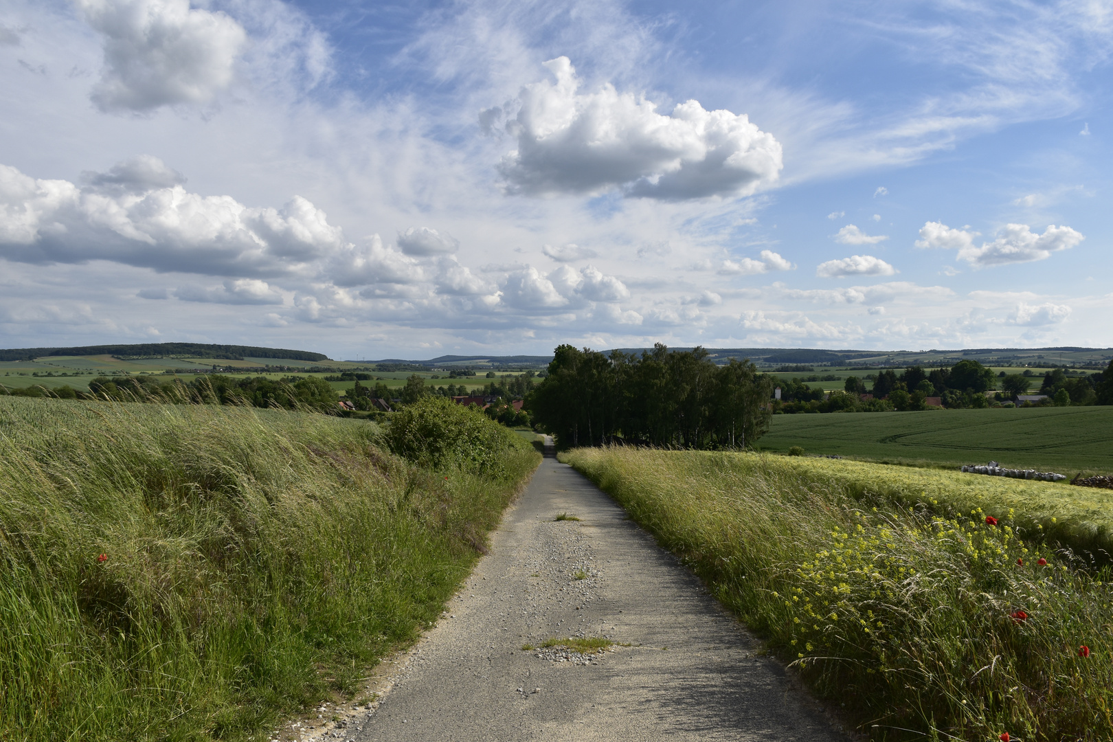 Landschaft zwischen Hildesheim und Alfeld