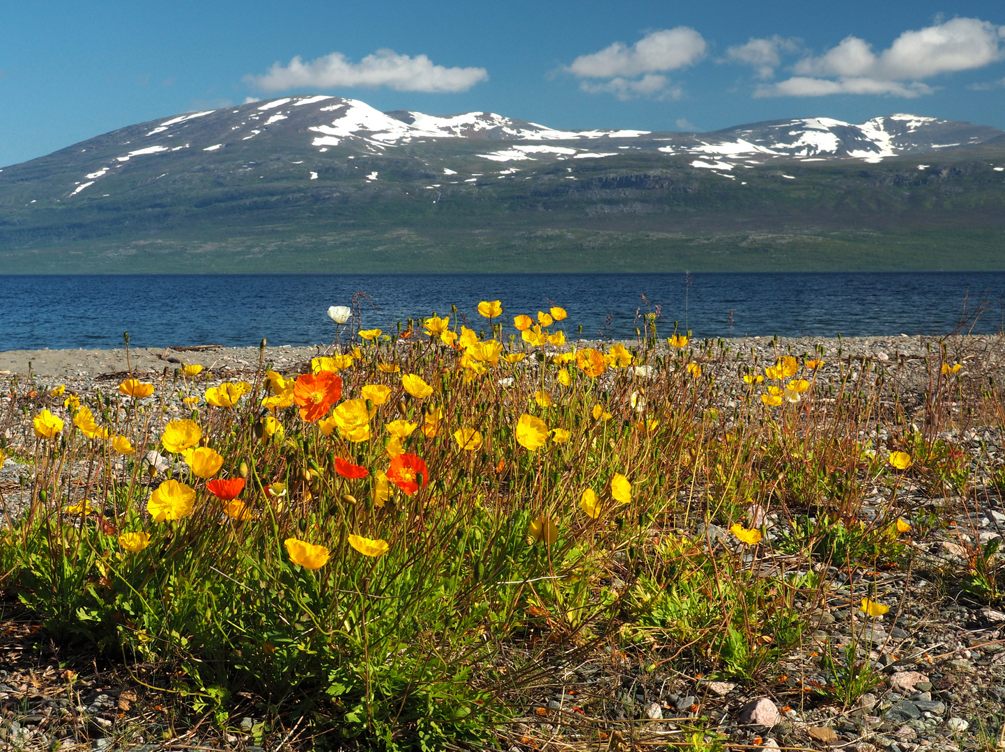 Landschaft zwischen Kiruna und Narvik