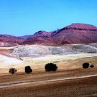 Landschaft zwischen Maragheh und Sanandj (4)