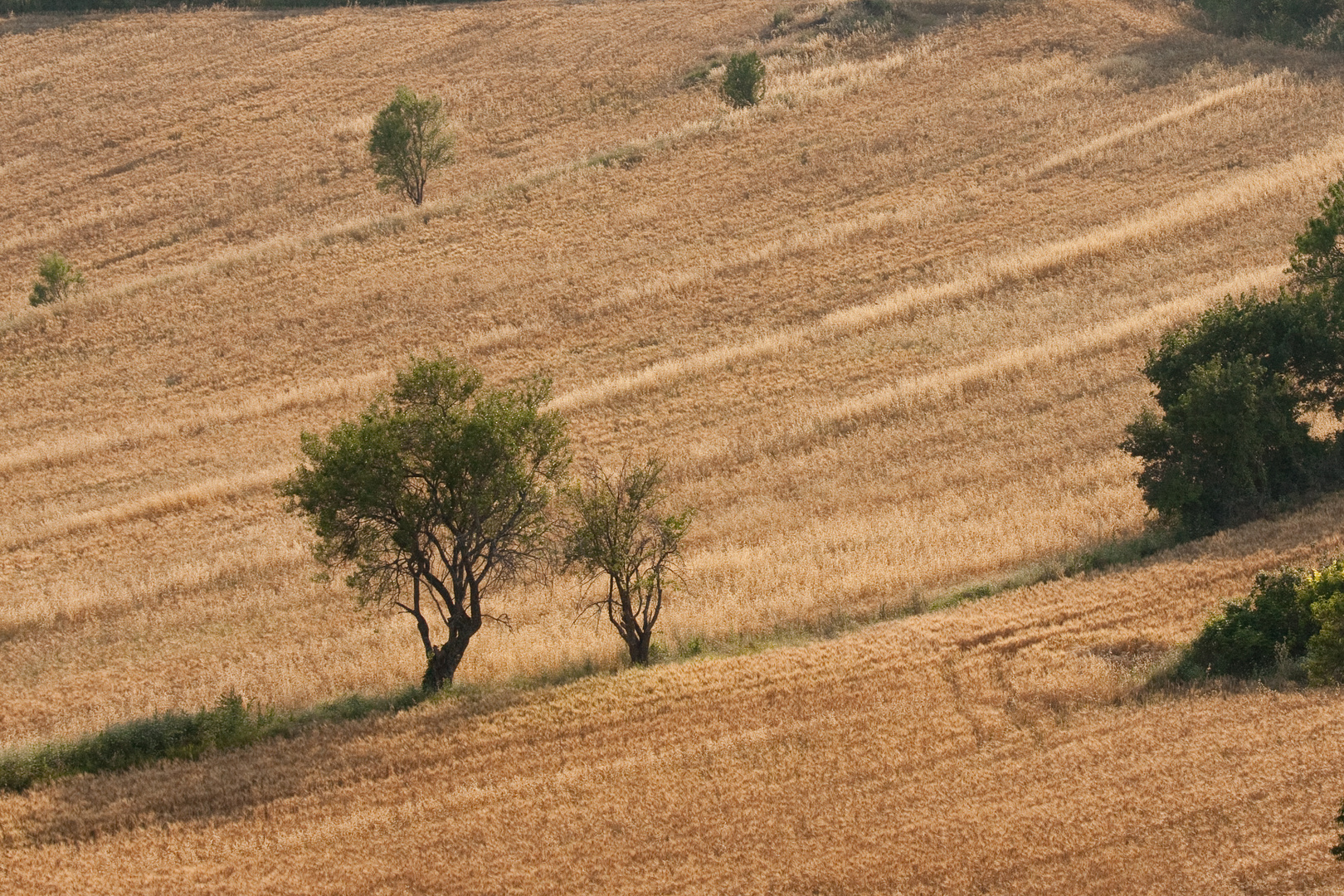 Landschaft zwischen Murs und Gordes