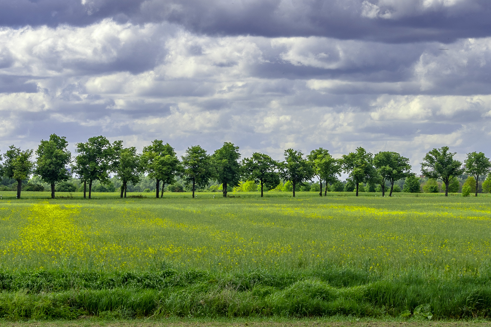 Landschaft1