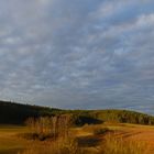 Landschaft.Beleuchtet.