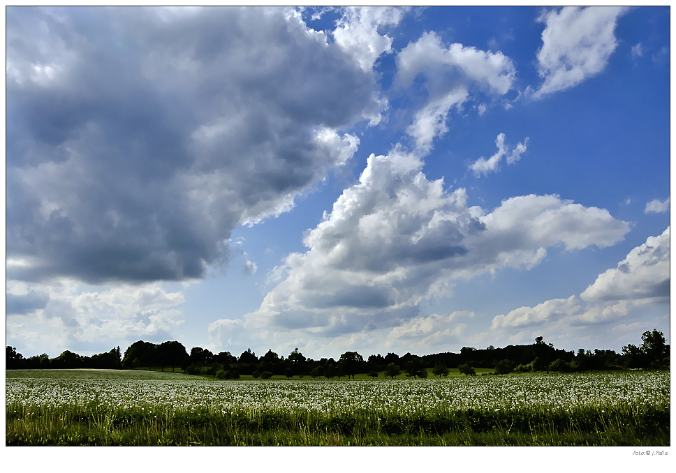 Landschaften 00009