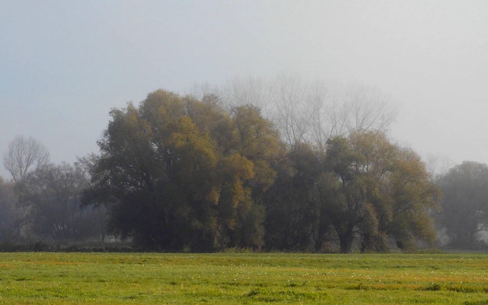 Landschaften an der Donau (9a)