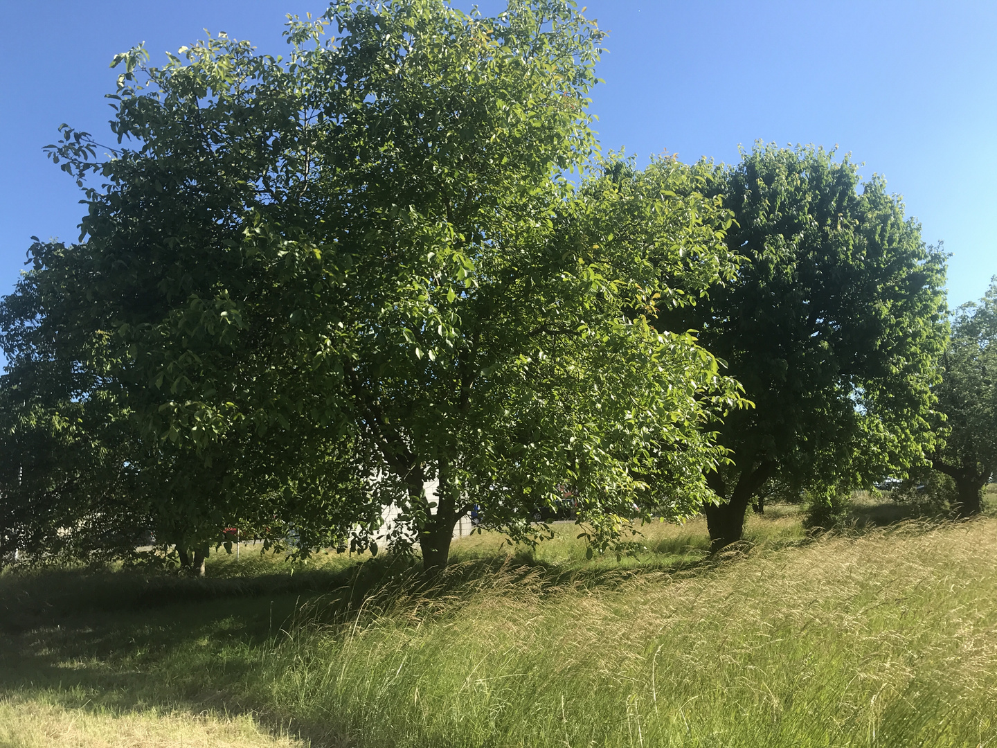 Landschaften auf den Fildern 