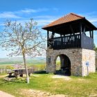 Landschaften bei Bornheim - Lonsheim