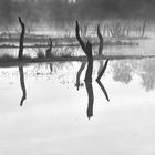 landschaften-canon eos 5d mark ii_003