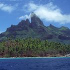 Landschaften der Insel Moorea (Französisch Polynesien)