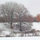 Landschaften Ende Dezember auf der schwäbischen Alb 