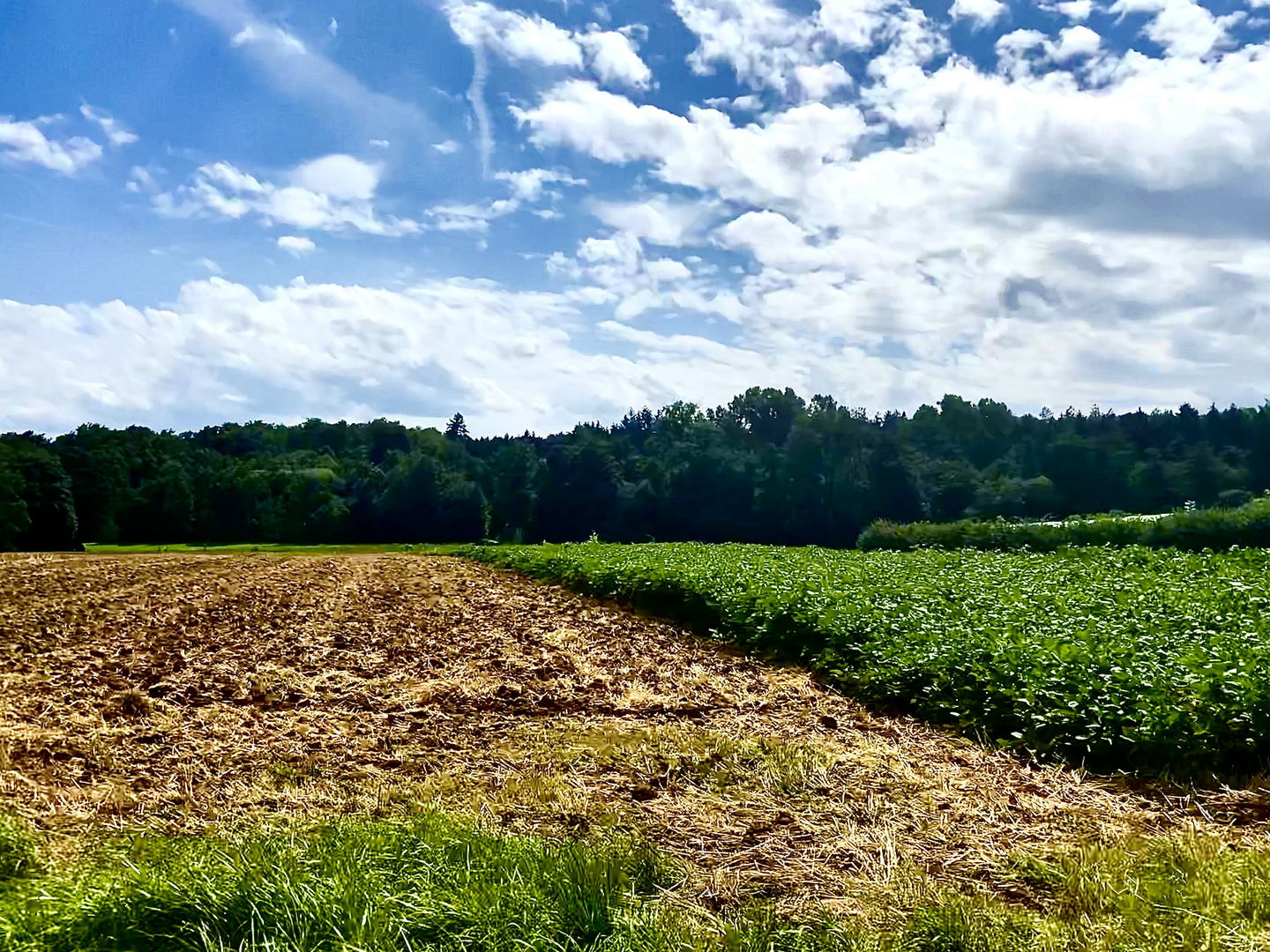 Landschaften im August 