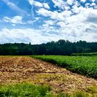 Landschaften im August 