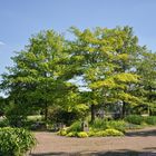 Landschaften im Britzer Park....