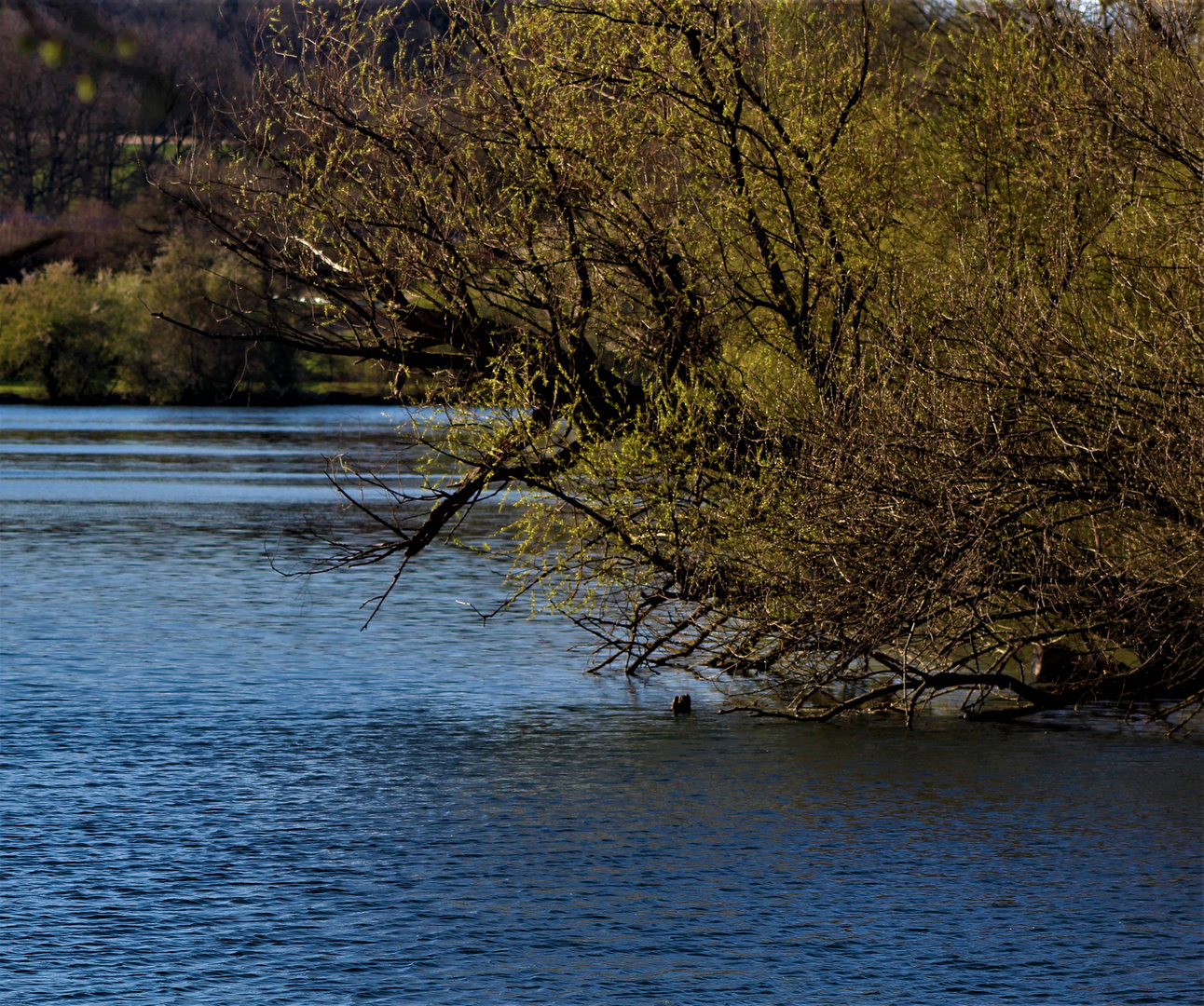 Landschaften im Frühling 