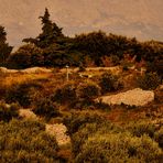 LANDSCHAFTEN IM HERBST AUF BRAC