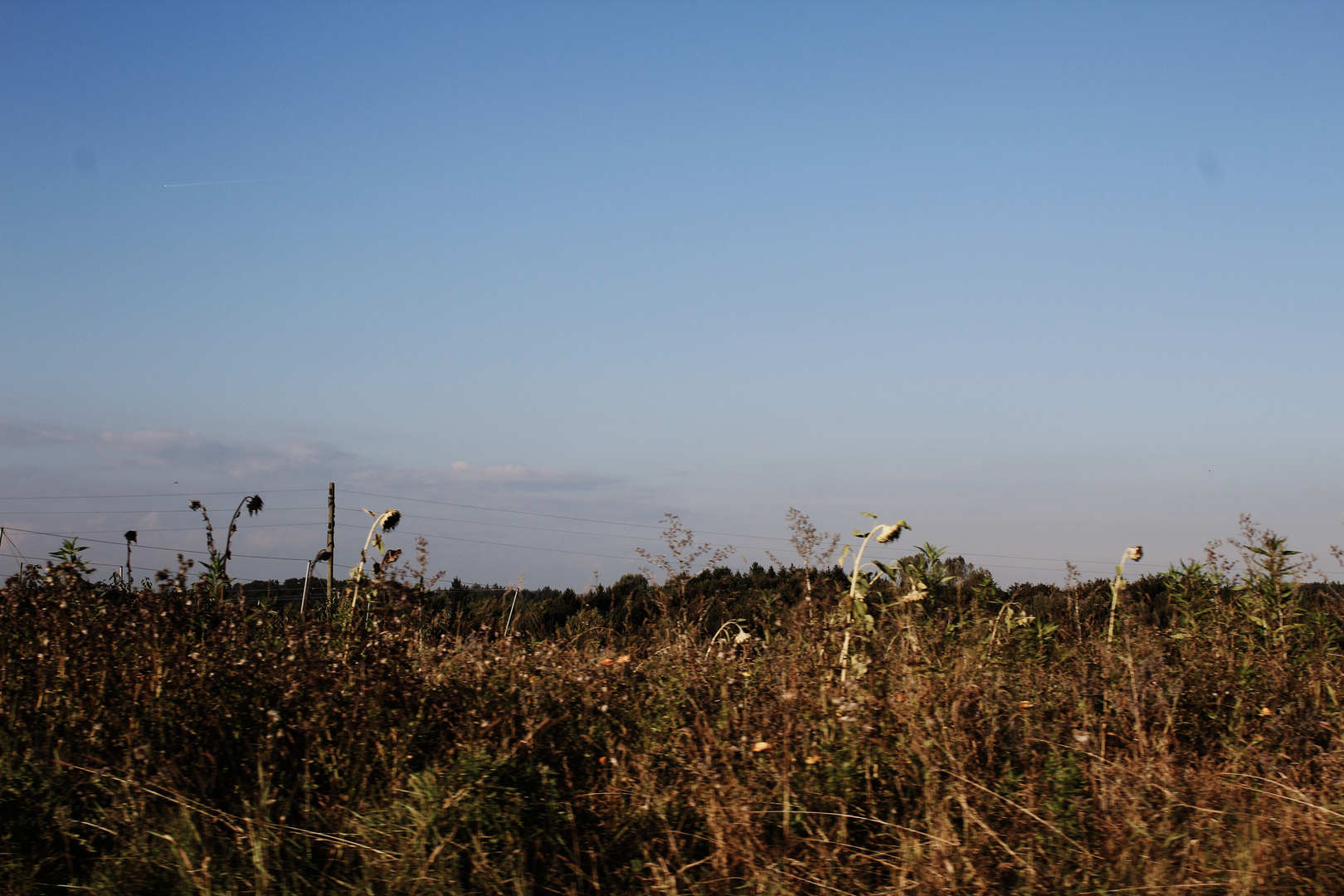 Landschaften im Hinterland des Bodensees