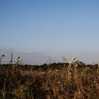 Landschaften im Hinterland des Bodensees