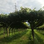 Landschaften im schönen Veneto