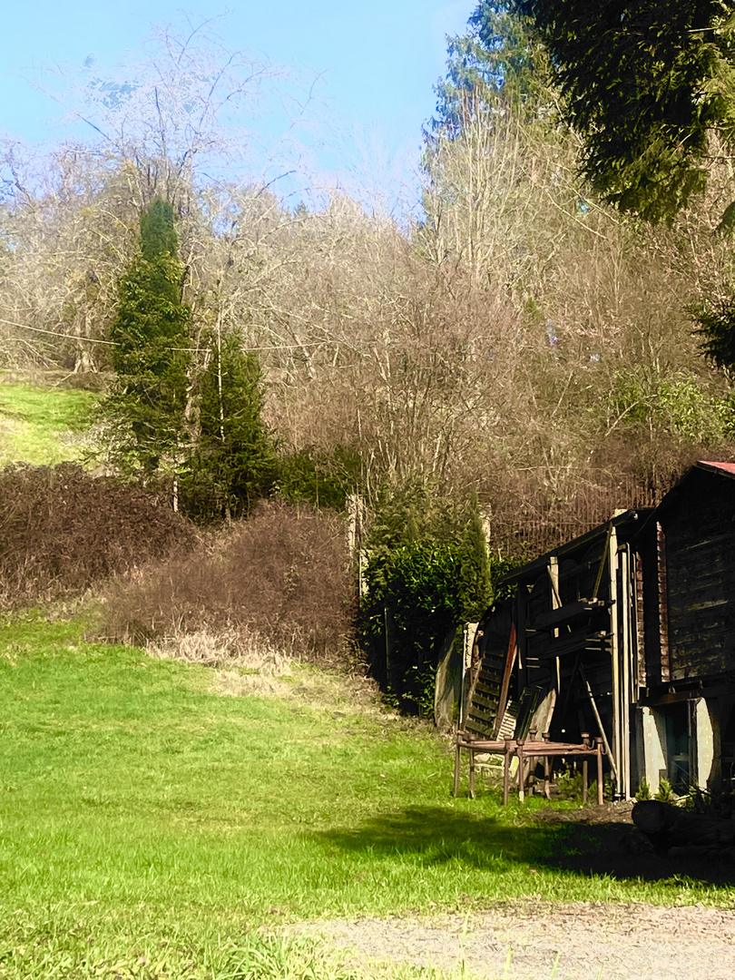 Landschaften im Schurwald 