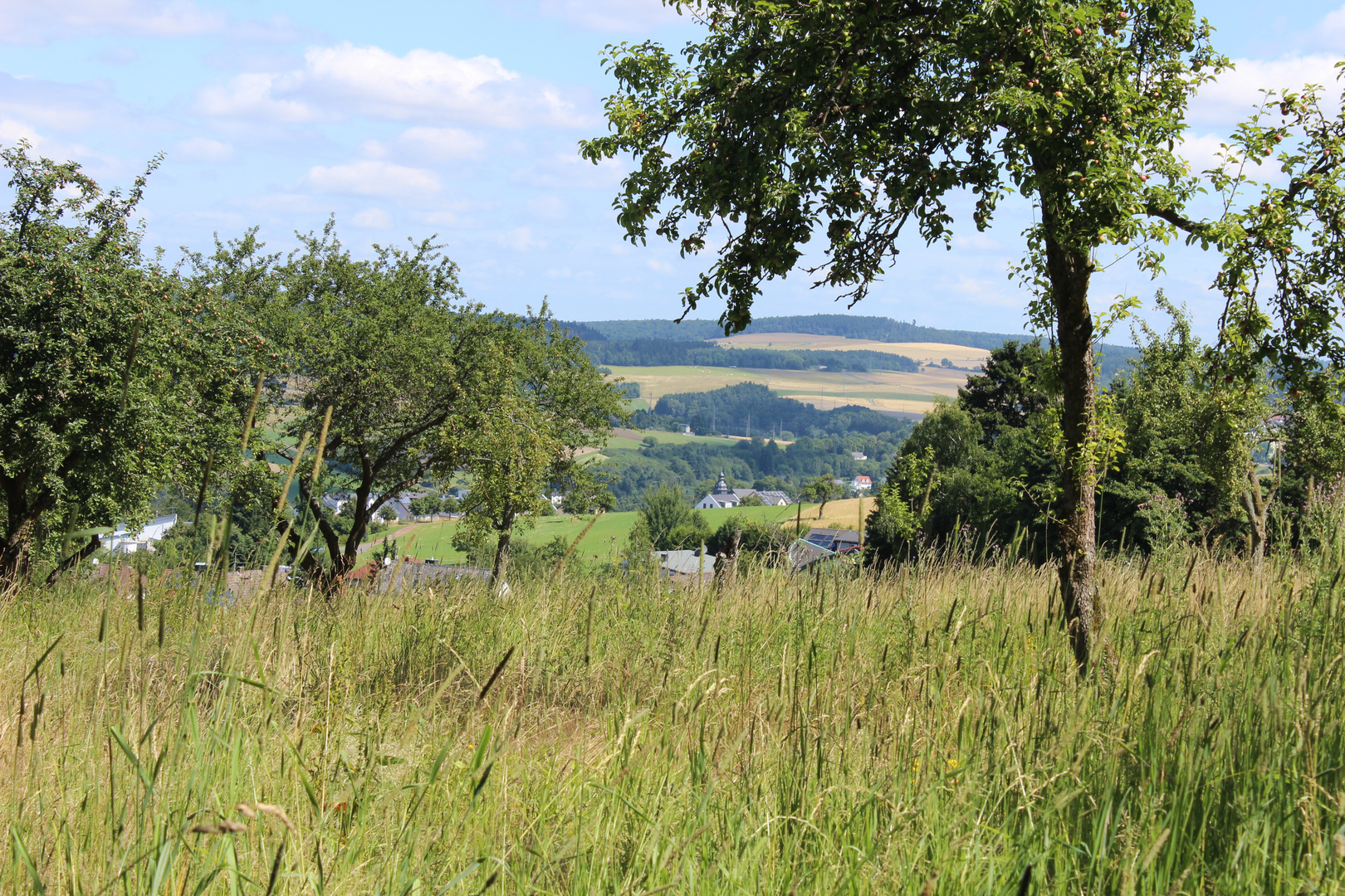 Landschaften im Taunus