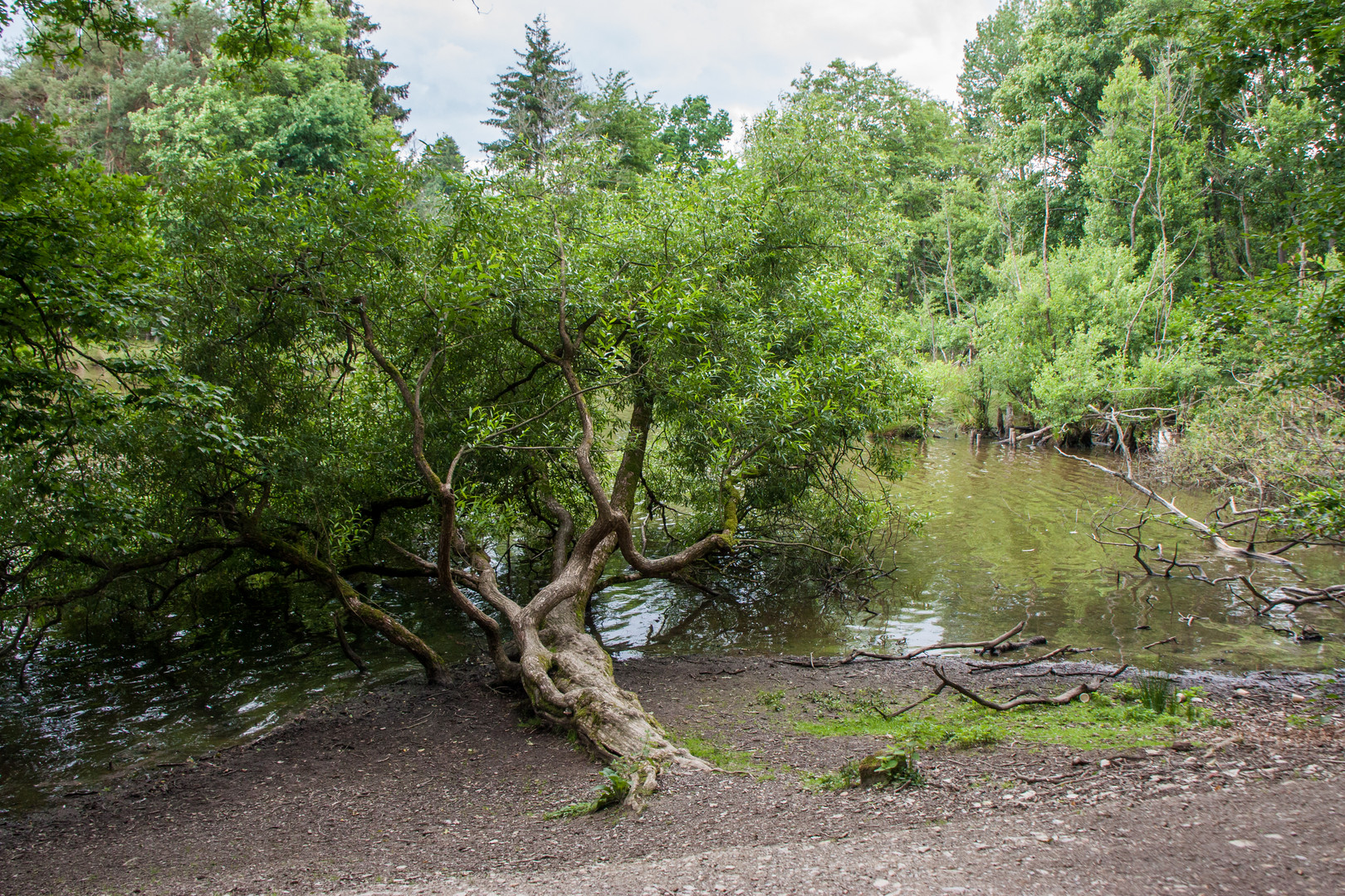 Landschaften im Wildpark