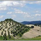 Landschaften in Andalusien