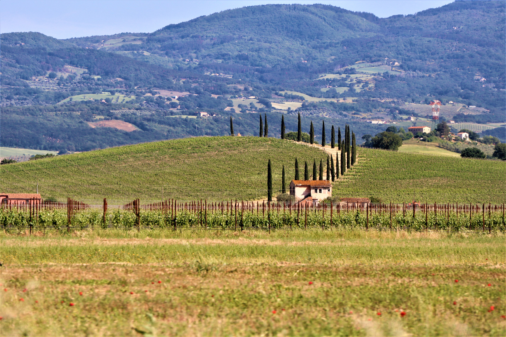 Landschaften in der südlichen Toscana
