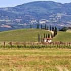 Landschaften in der südlichen Toscana