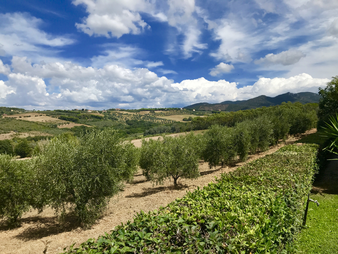 Landschaften in der Toscana 