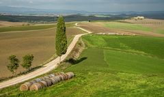 Landschaften in der Toskana - VI