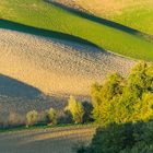 Landschaften in der Toskana - XI