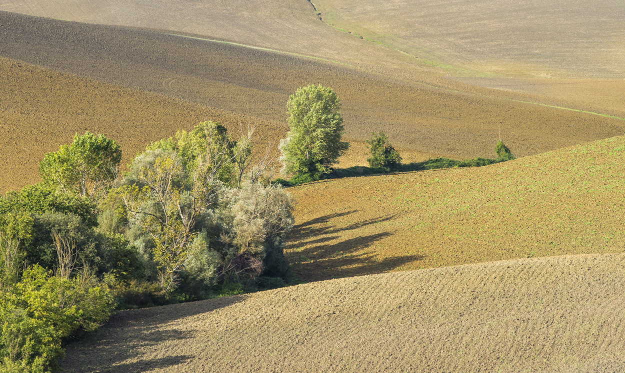 Landschaften in der Toskana - XX