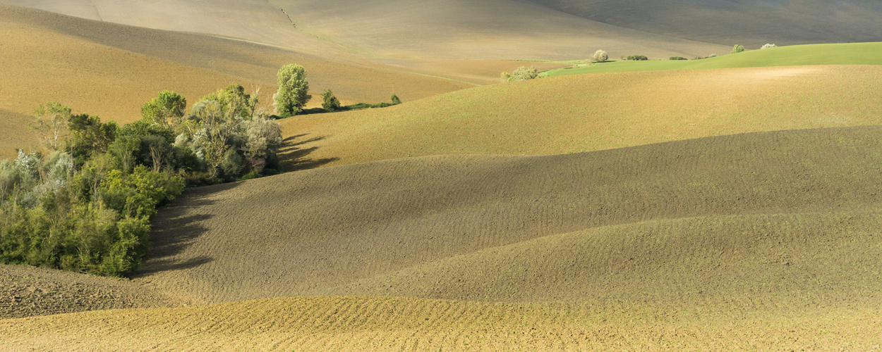 Landschaften in der Toskana - XXI