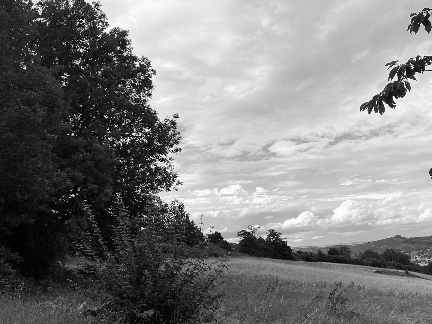 Landschaften in ihrer ganz eigenen Ausprägung 