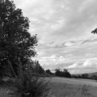 Landschaften in ihrer ganz eigenen Ausprägung 