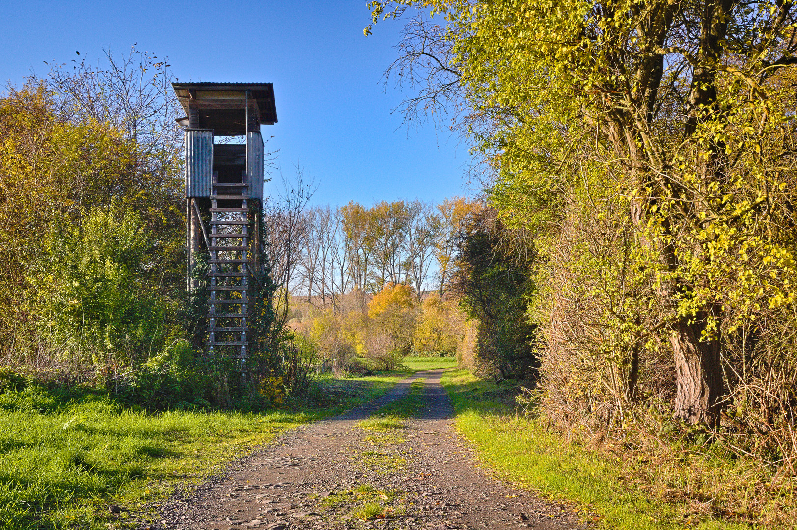 Landschaften in Monsheim