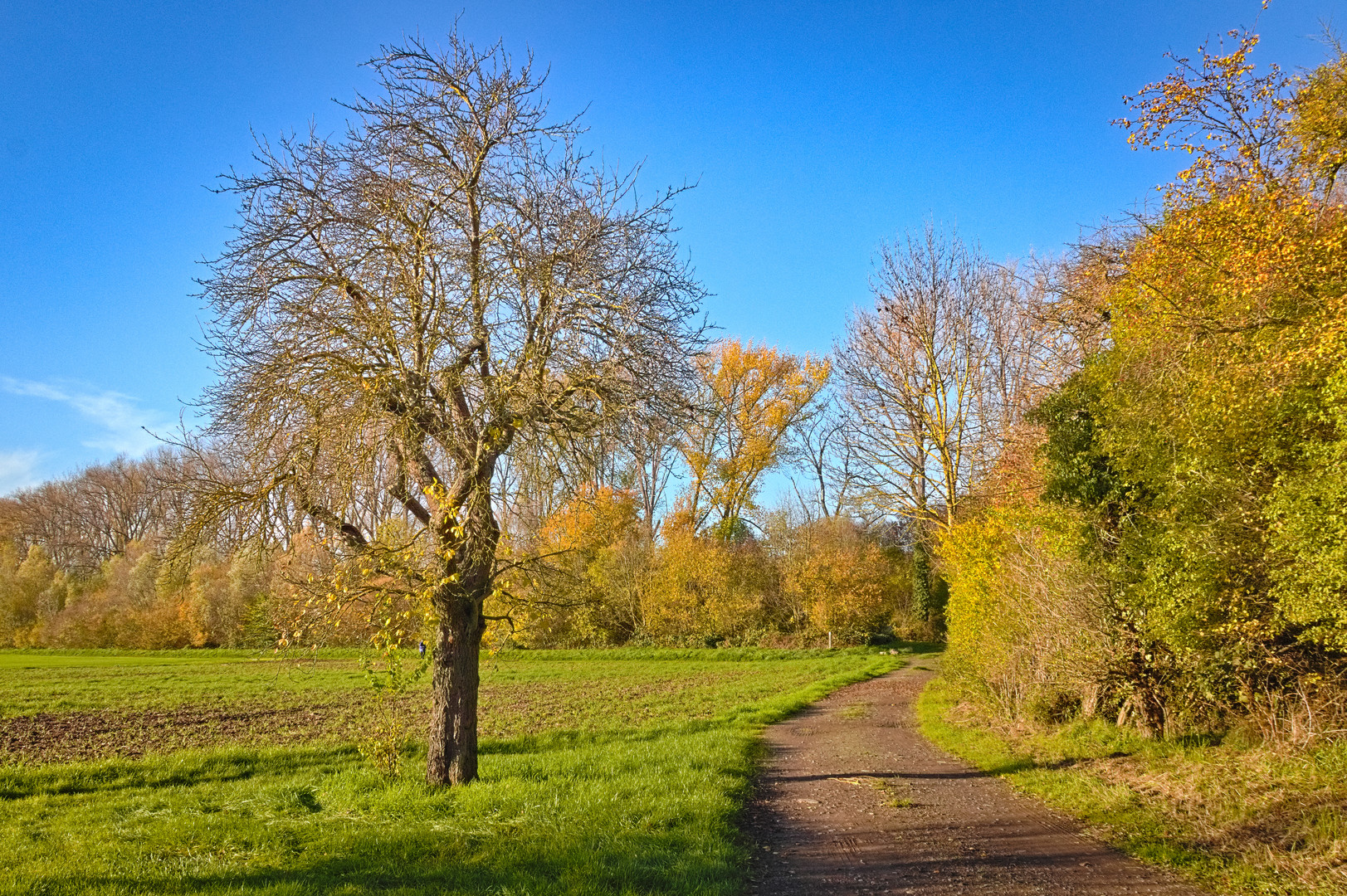 Landschaften in Monsheim