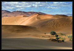 Landschaften in Namibia XVI - Angriff der Pflanzen