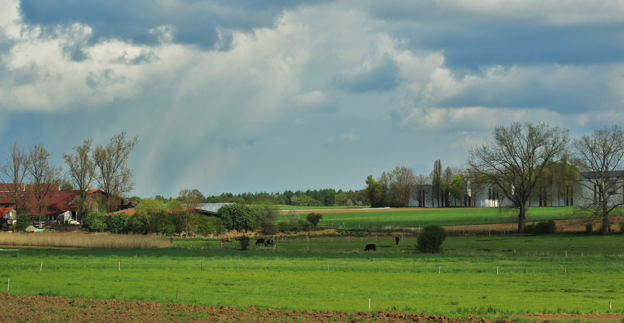 LANDSCHAFTEN OBEN AUF DEN FILDERN