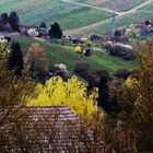 Landschaften rund um den Rotenberg