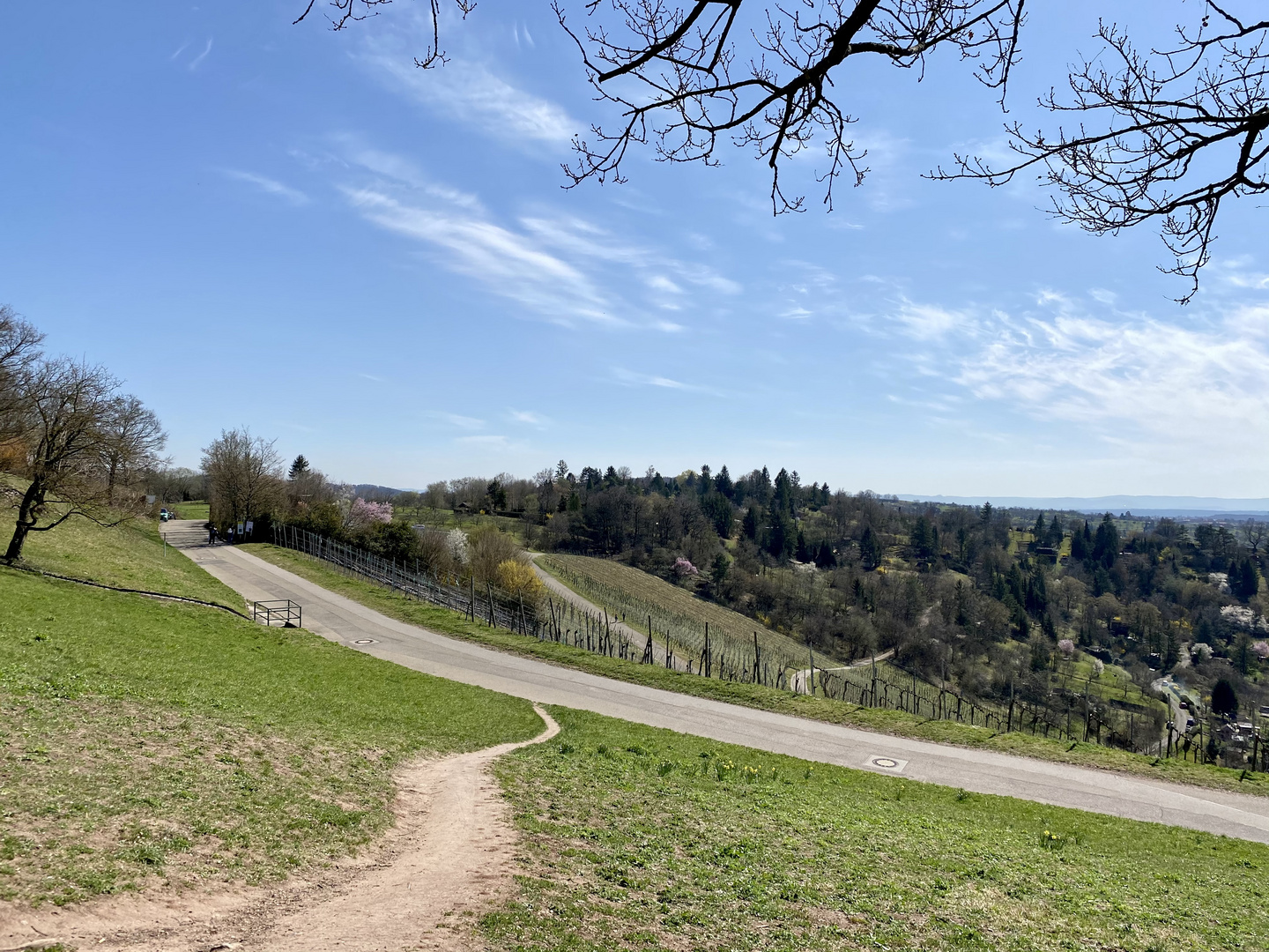 Landschaften rund um den Rotenberg 