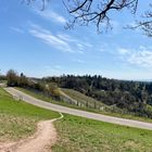 Landschaften rund um den Rotenberg 